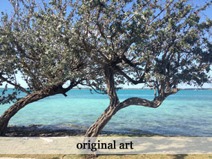 Cottage Chic Original Art