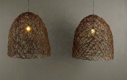 Egg Branch Chandelier